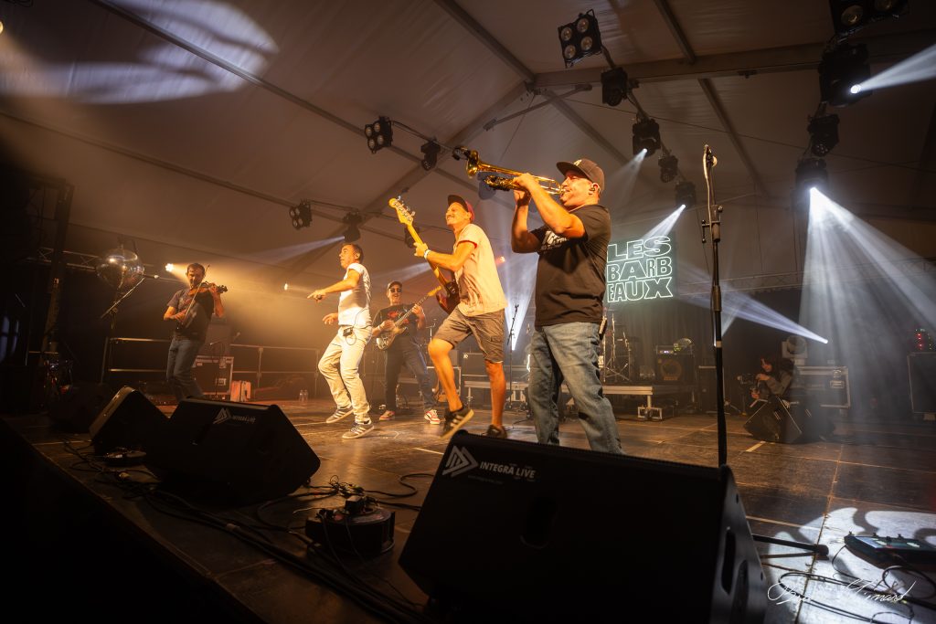 Les Barbeaux - Vach'de Rock #17